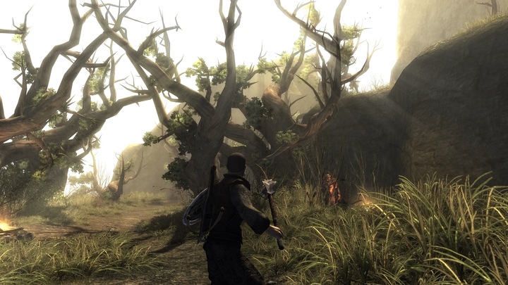 Actual product image THQ Risen (PS4, DE, EN)