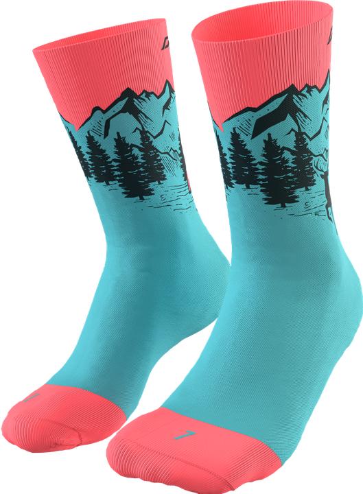 Actual product image Dynafit Stay Fast Socks (43 - 46)
