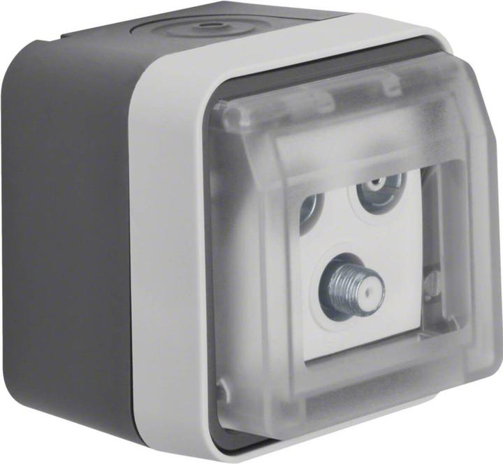 Actual product image Berker Antenna socket outlet LGR 12033535 Single socket 3-hole W.1 Antenna socket outlet 4011334404590