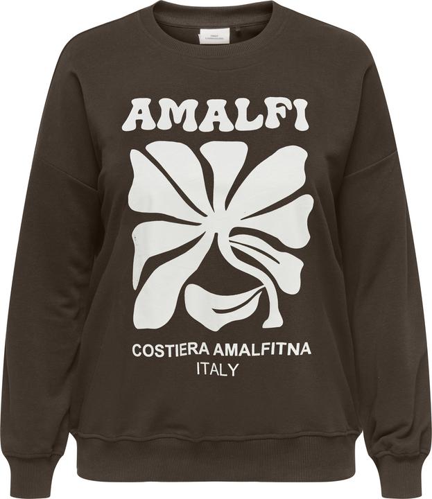 Image du produit Only CARESMARA Sweatshirt Sweatshirt (M)