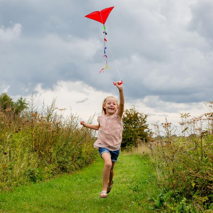 Produktbild Kikkerland Huckleberry Kite