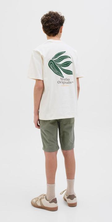 Image du produit Jack & Jones Regular Fit Regular Fit Shorts Junior Regular Fit Shorts (152)