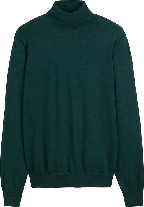 Actual product image La Redoute Collections 100% Merino Wool Turtleneck Sweater (XL)