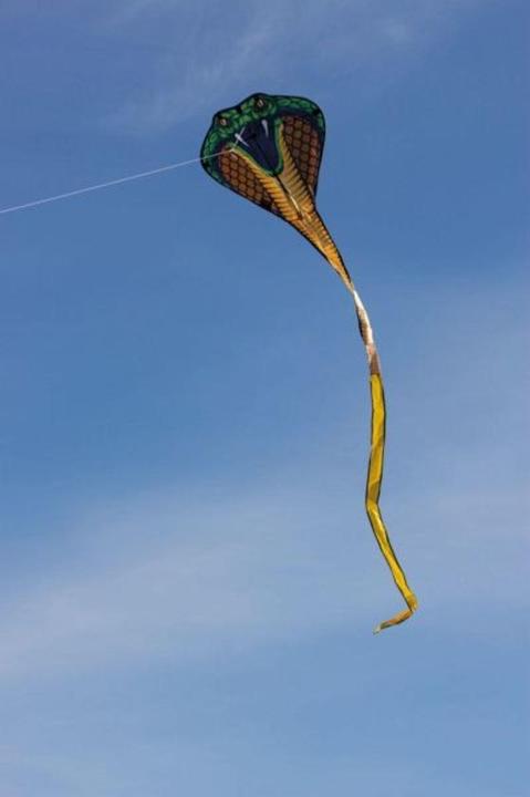 Acquista Günther Flugspiele Aquilone statico Square Larghezza estensione (dettaglio) 700 mm Intensità del vento 4 - 9 bft da