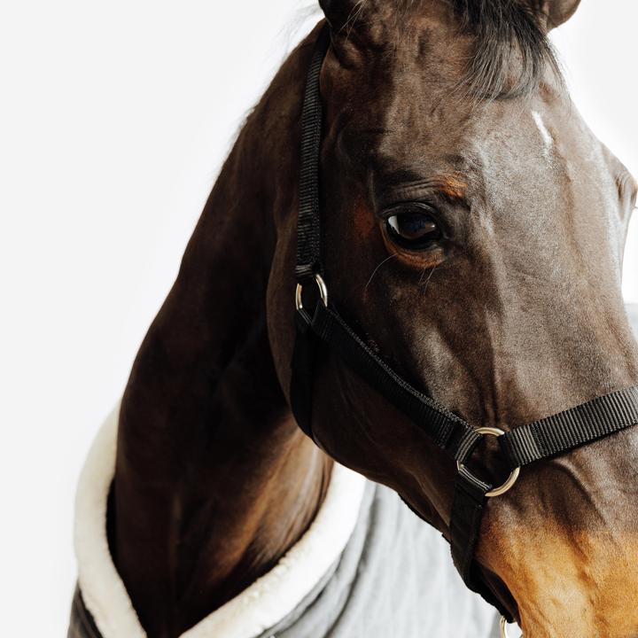 Immagine prodotto Fouganza Halfter Schooling schwarz