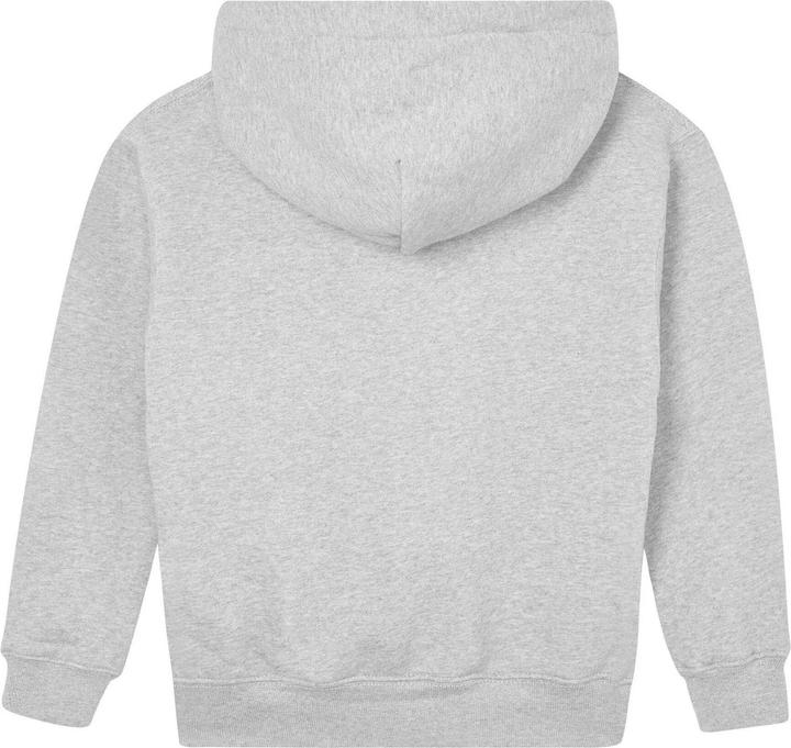 Image du produit - Sweat à capuche ESSENTIAL - Enfant (152)