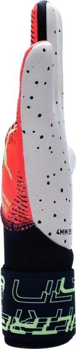 Produktbild Puma Ultra Ultimate 1 TorhüterHandschuhe (9)