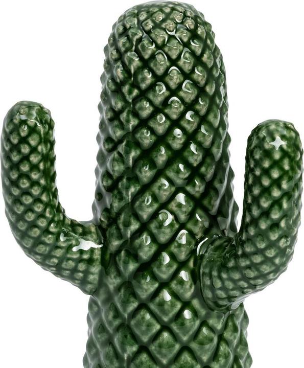 Actual product image pfister Cacto