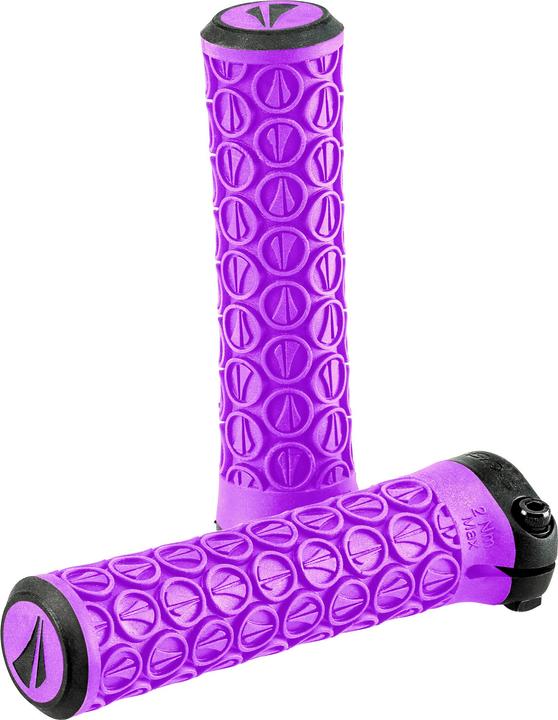 Viola