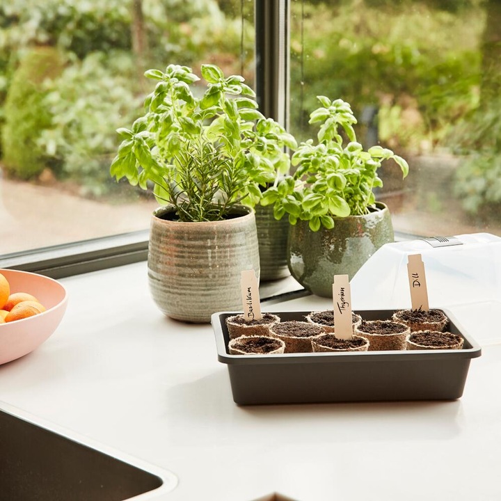 Image du produit Siena Garden couveuse