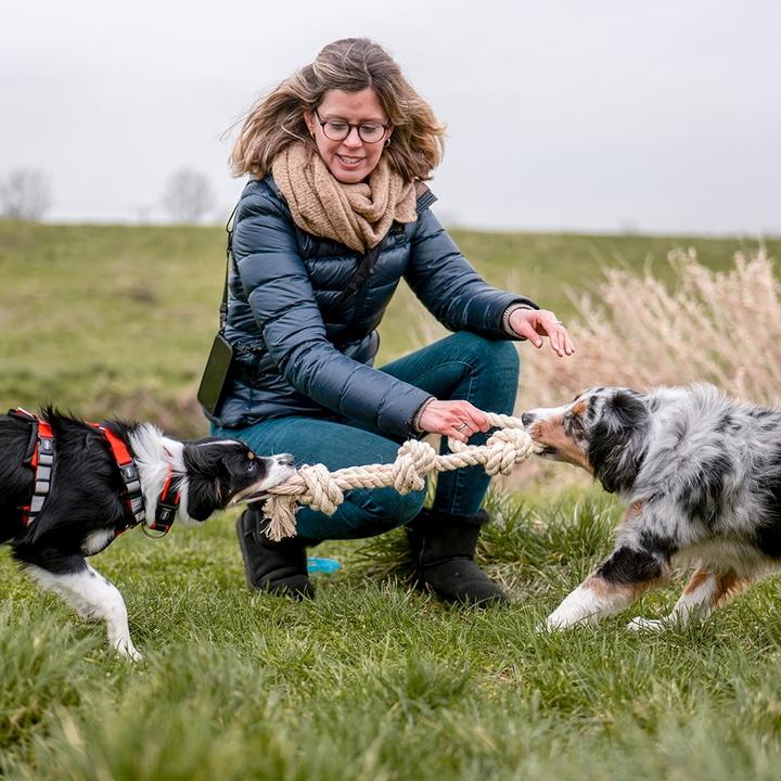 Actual product image Nobby Dog Toy Knot Rope, Nature (Dog chew toy)