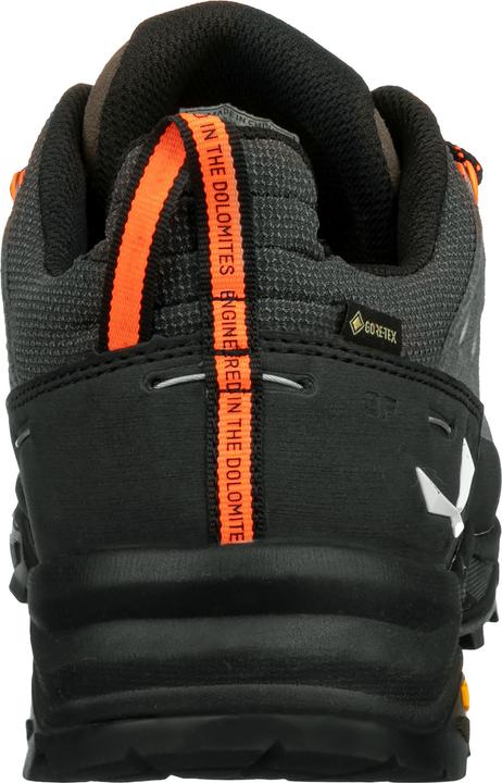 Actual product image Salewa Alp Trainer 2 Gore-Tex® Shoe (41)
