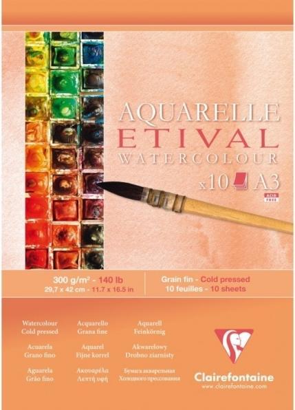 Actual product image Clairefontaine Moist techniques (300 g/m², 120 x)
