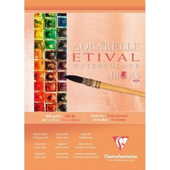 Clairefontaine, Bastelpapier, Feuchte Techniken (300 g/m², 120 x)