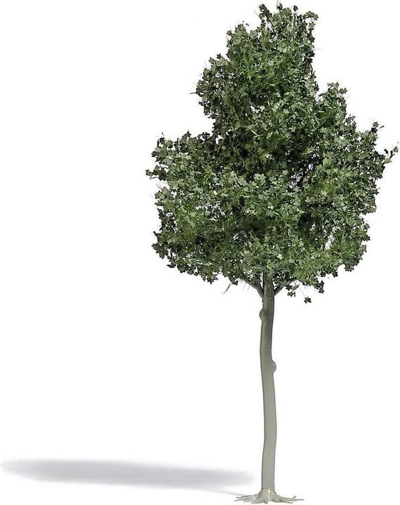 Produktbild Busch H0 Waldbuche 170 mm