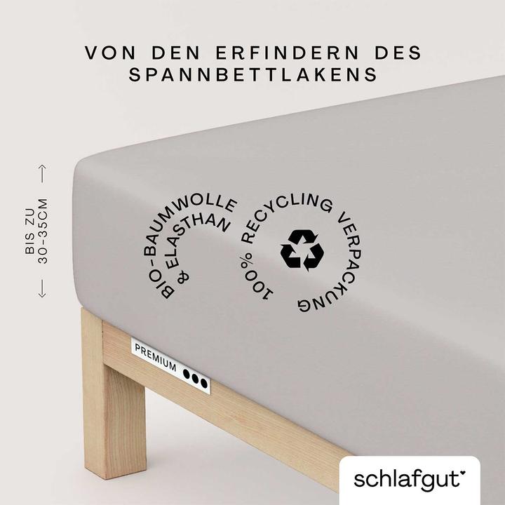 Produktbild schlafgut Premium (120 x 200 - 130 x 220 cm)