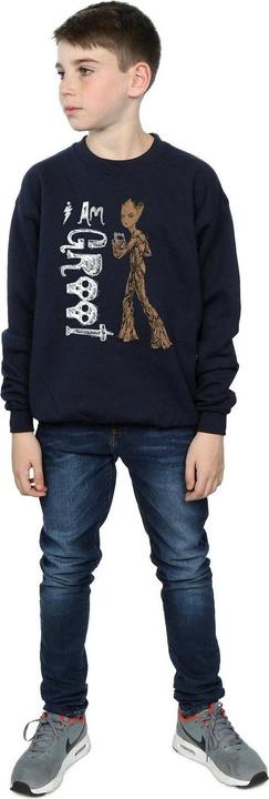 Produktbild Avengers Infinity War I Am Teenage Groot Sweatshirt Jungen (116)