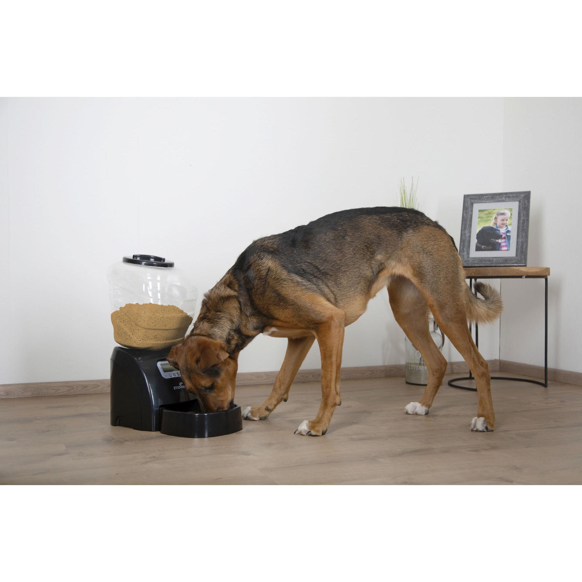 EYENIMAL Distributeur automatique de croquettes 45x20x47 cm - Noir - Pour chat et petit chien