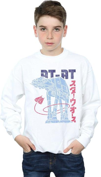 Image du produit Star Wars - Sweat KANJI AT-AT - Garçon (116)