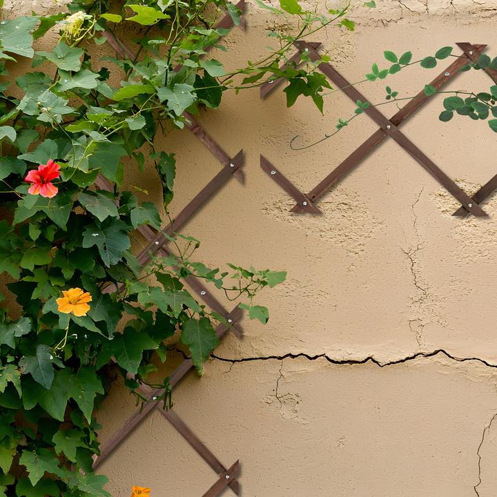 Image du produit Relaxdays 3x tuteurs-à-tomates (1 cm, 30 cm)