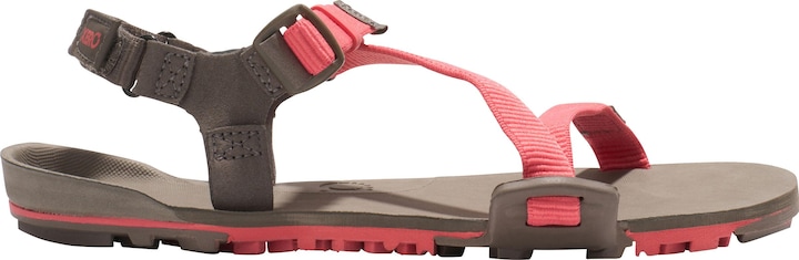 Actual product image Xero Shoes Z-Trail EV (36.5)