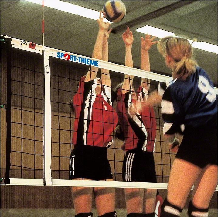 Actual product image Sport-Thieme Volleyball tournament net DVV 1