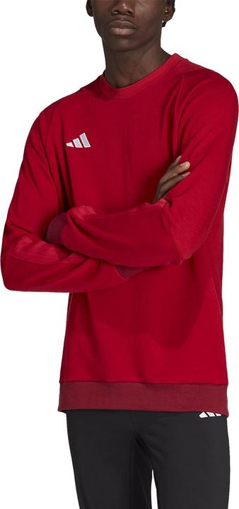 Actual product image adidas Men's shirts Tiro 23 Competition Crew red HI4709 (M) (M)