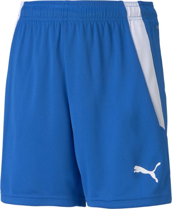 Puma teamLIGA Shorts Jr-704931 (116)