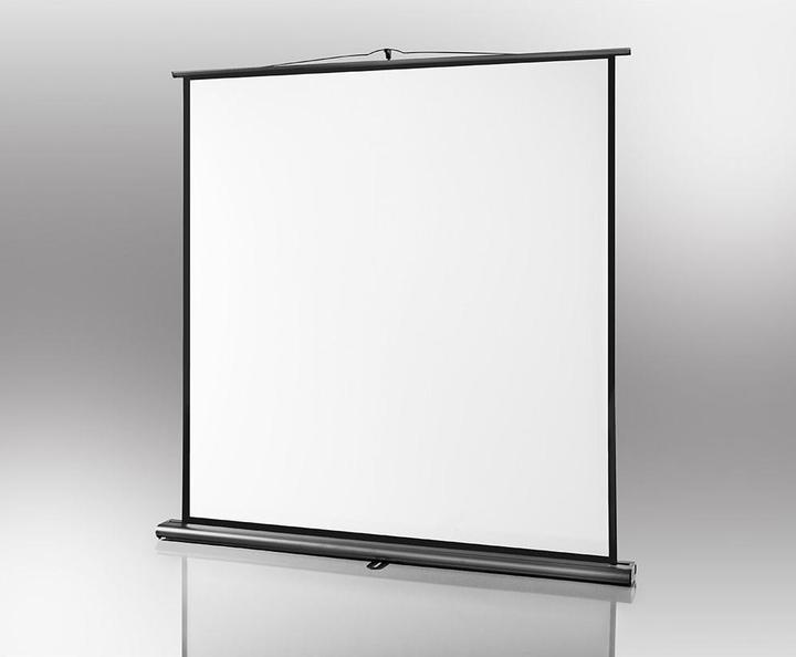 Actual product image Celexon Ultramobile Professional (109", 1:1)