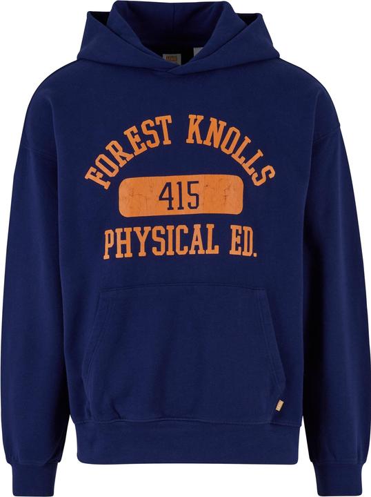 Actual product image Levis Gold Tab Hoodie - 91087 (M)