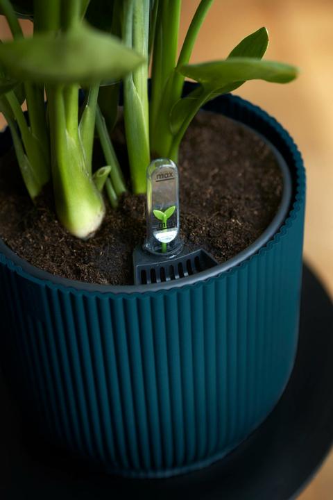 Actual product image Elho Vibes Fold (18.35 cm)