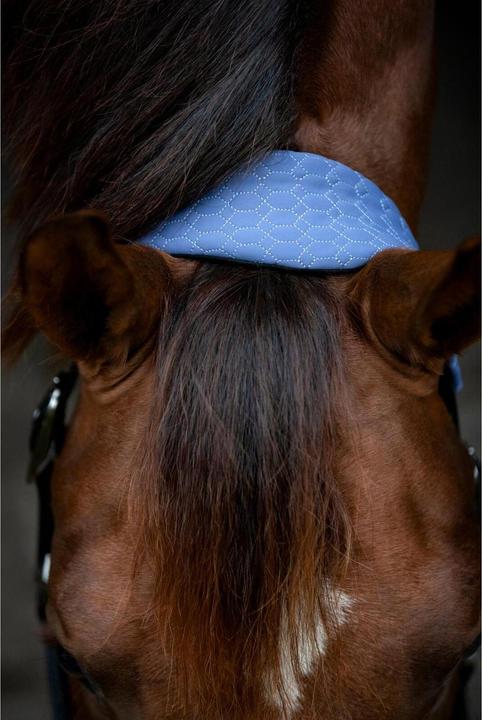 Produktbild Catago FIR-Tech Grand