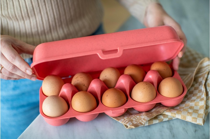 Actual product image Koziol Egg box (2.69 l)