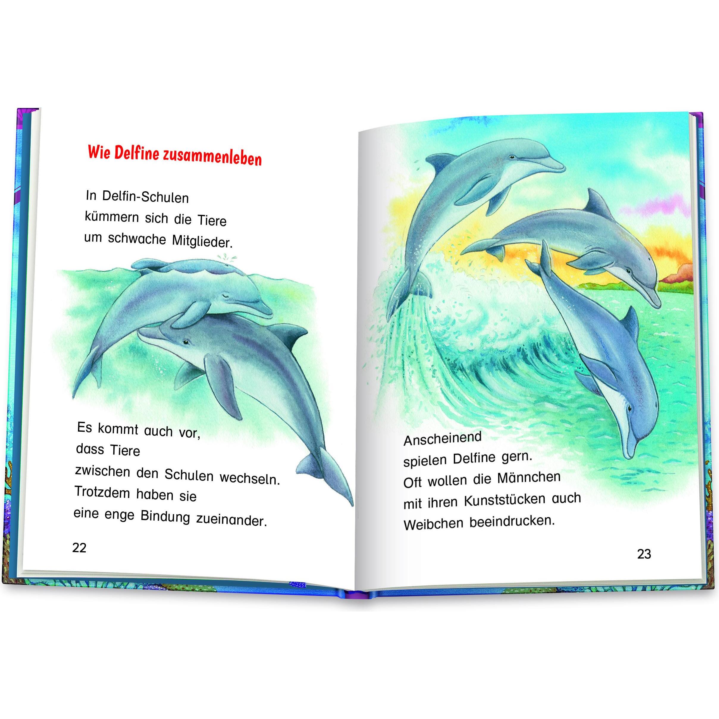 Thumbnail - Die Delfine, Kinderbücher von Friederun Reichenstetter