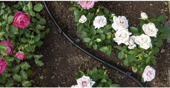Actual product image Kärcher Rain System Hose (10 m, 50.80 mm)