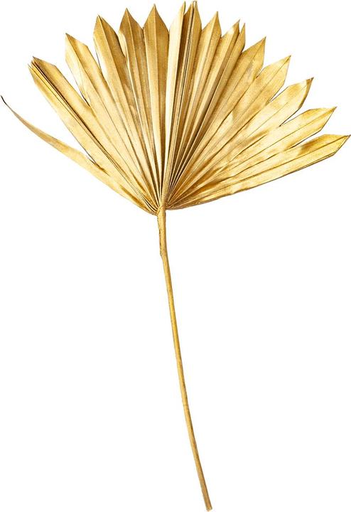 Produktbild Casativo Deko-Blatt, gold, 40 x 45 cm (40 x 45 cm)
