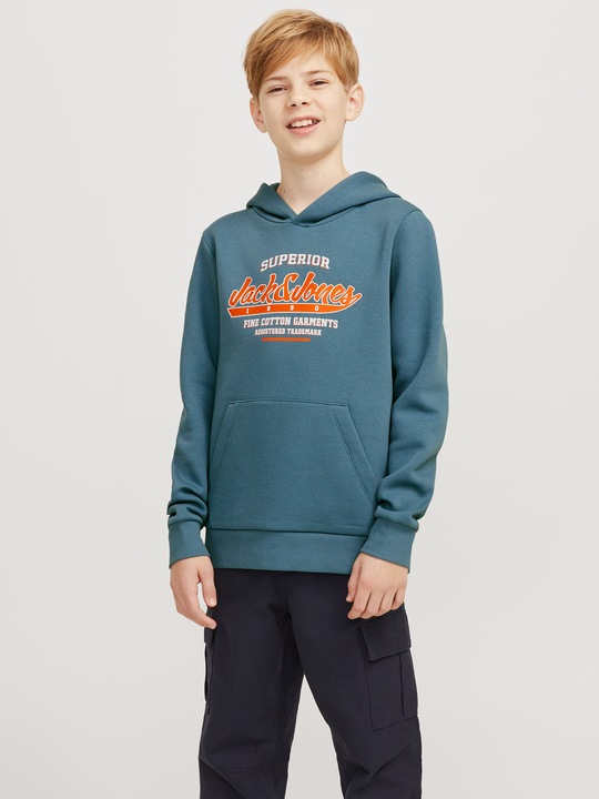 Actual product image Jack & Jones JJELOGO SWEAT HOOD 2 COL 24/25 NOOS JNR (152)