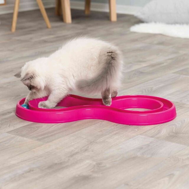 Actual product image Trixie Flashing Ball Race (Catmint toy)