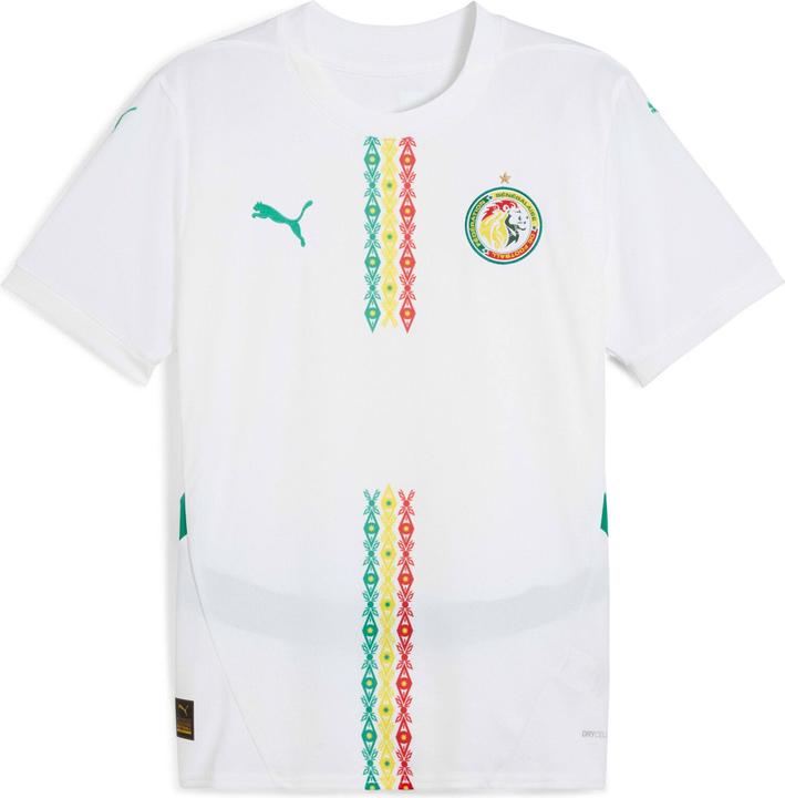 Immagine prodotto Puma Maglia Home FSF Replica (L)