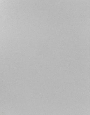 Produktbild Graupappe 1.0 mm, 50 x 70 cm (100 g/m², 1 x)