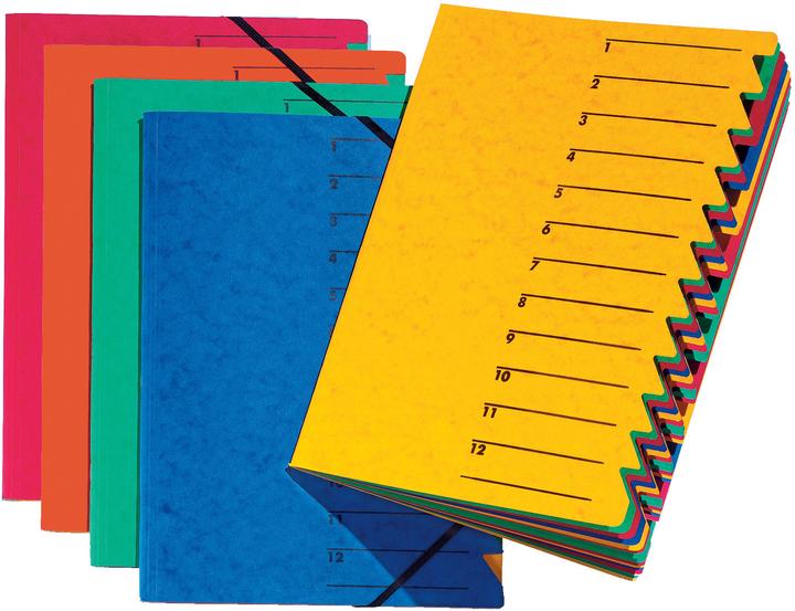 Produktbild Pagna Ordnungsmappen Easy (A4, 1x)