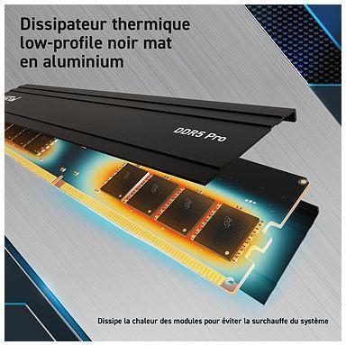 Produktbild Crucial Pro (1 x 24GB, 5600 MHz, DDR5-RAM, U-DIMM)
