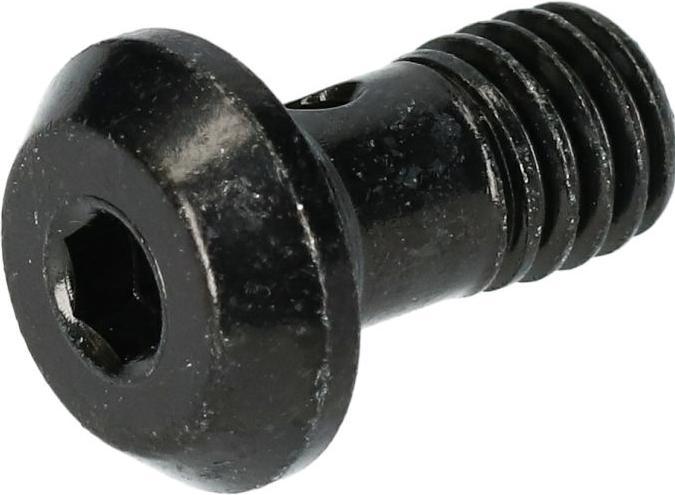 Produktbild Shimano Banjo-Schraube BR-M8100