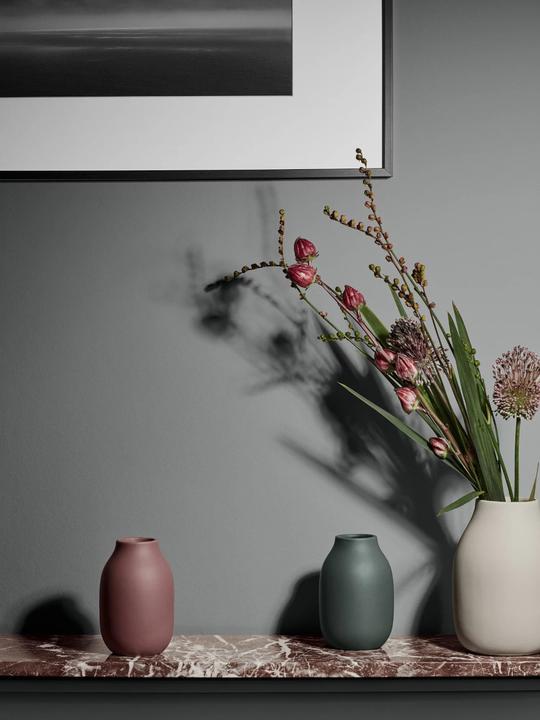 Actual product image Blomus Colora (1x)