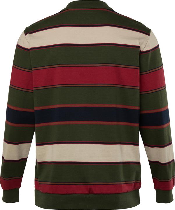 Produktbild Boston Park Langarm-Poloshirt, bis 68/70 (58)