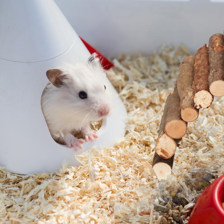 Actual product image Relaxdays 3x rodent bridge