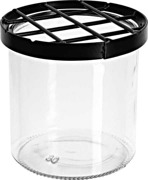 Produktbild VBS Glasvase mit Steckgitter