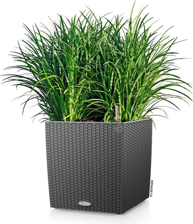 Image du produit Lechuza Cube Cottage (40 cm)