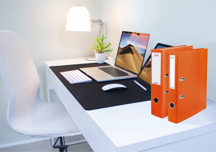 Actual product image Biella federal files (A4, 40 mm, 1 x)