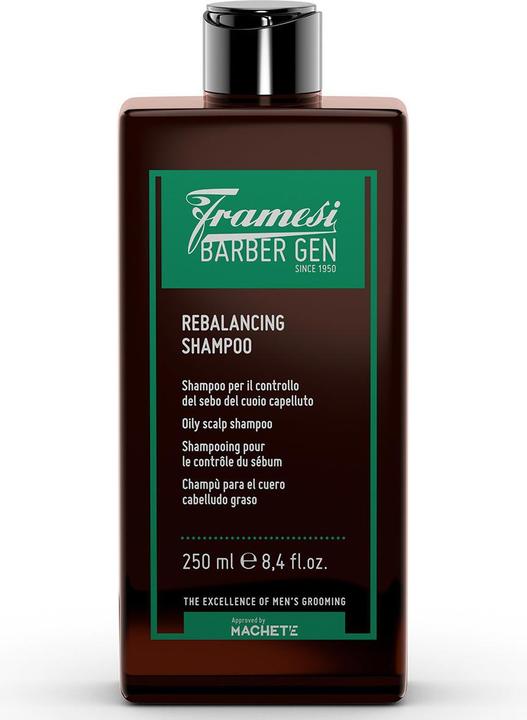 Produktbild Framesi BARBER GEN Rebalancing Shampoo (Flüssiges Shampoo, 250 ml)